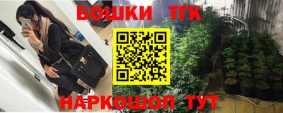 спиды Дубна