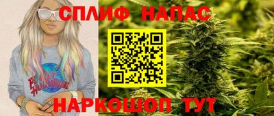 спиды Дубна