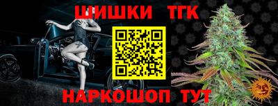 спиды Дубна