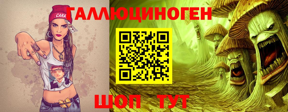 Псилоцибиновые грибы GOLDEN TEACHER Мурманск