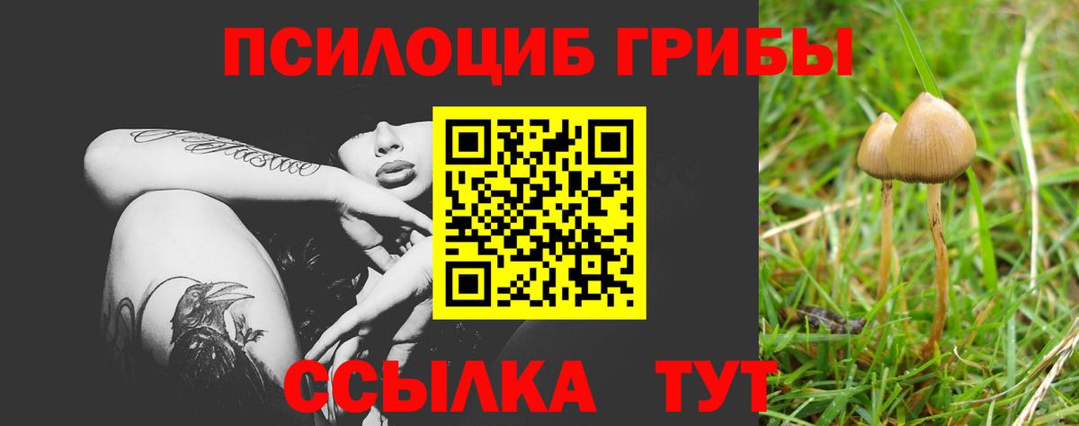 Мурманск  Псилоцибиновые грибы мицелий  даркнет сайт  Вход с VPN 